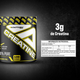 Creatina Platinum Series 300g