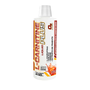 L-Carnitina Plus 450ml – Ponche de Frutas